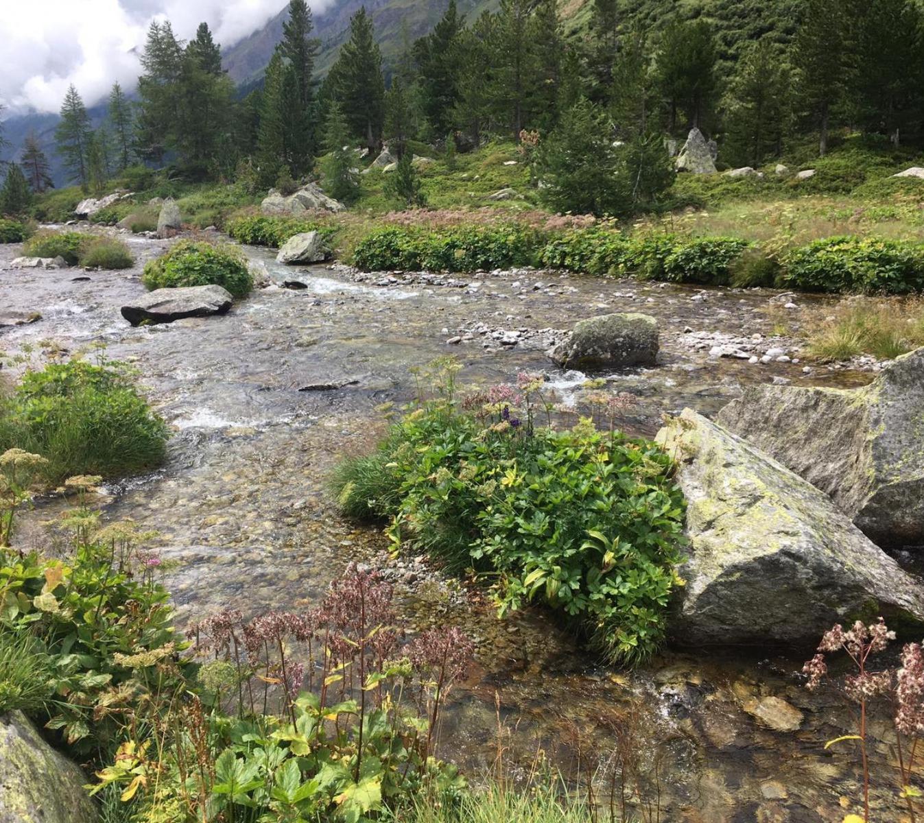 Appartamento Sonnenhof Kals-am Großglockner Esterno foto