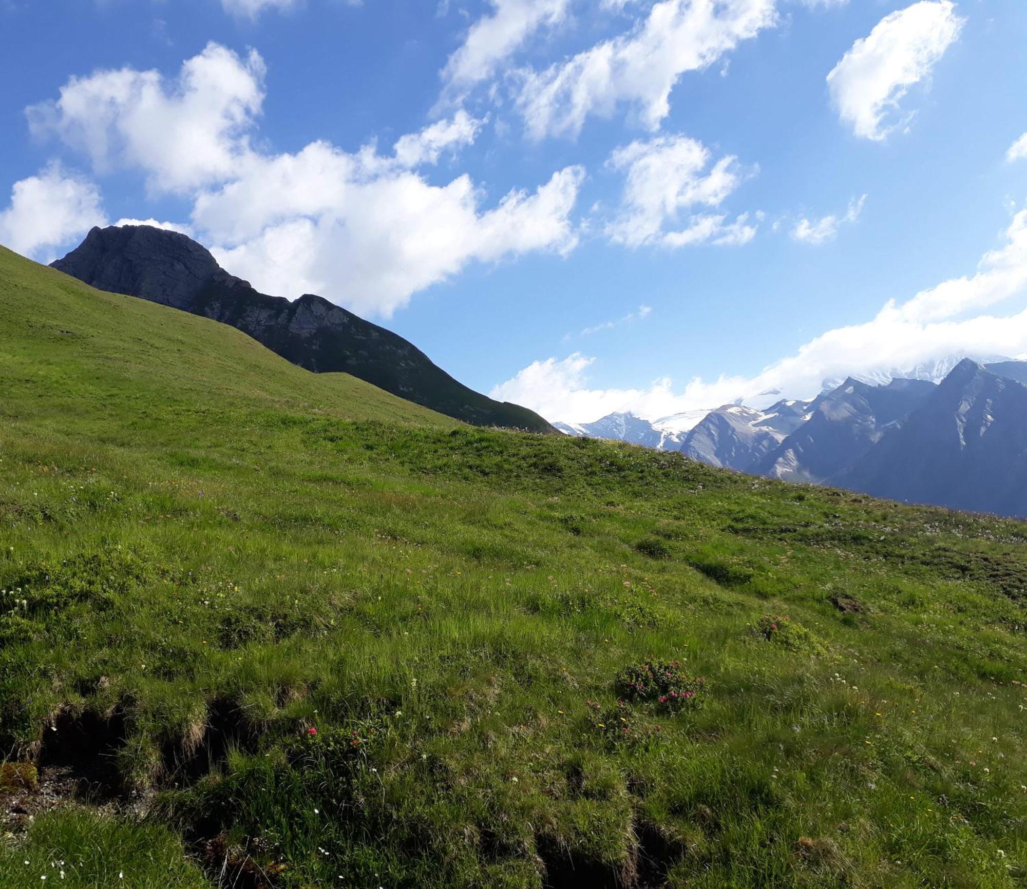Appartamento Sonnenhof Kals-am Großglockner Esterno foto